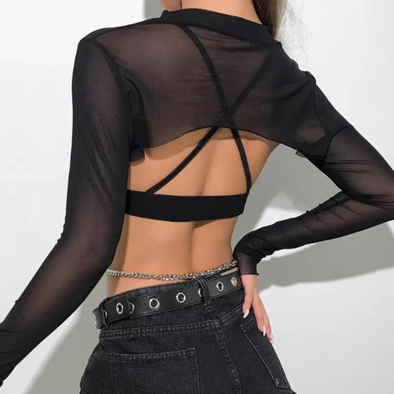 Women's Transparent Round Neck Long Sleeve Top