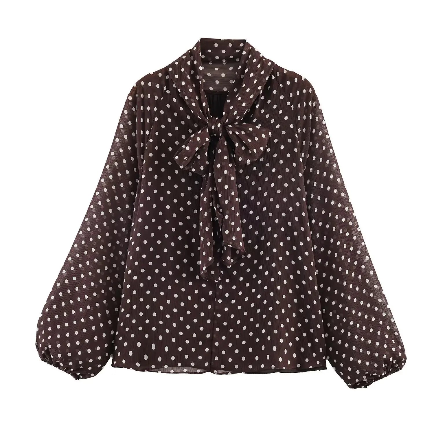 Women's Dot Print Chiffon Lantern Sleeve Blouse