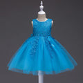 Girls Princess Lace Embroidery Puffy Dress | Flower Girl Ball Gown for Parties Ages 3 - 10Y - lily supply