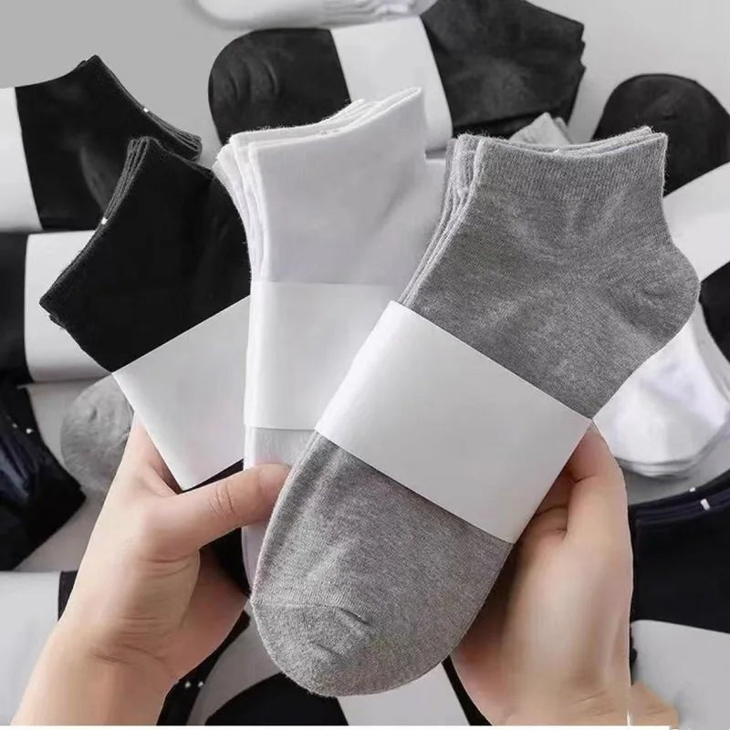 5 Pairs Women's No - Show Low - Cut Cotton Socks - Breathable Summer Solid Colours - lily supply
