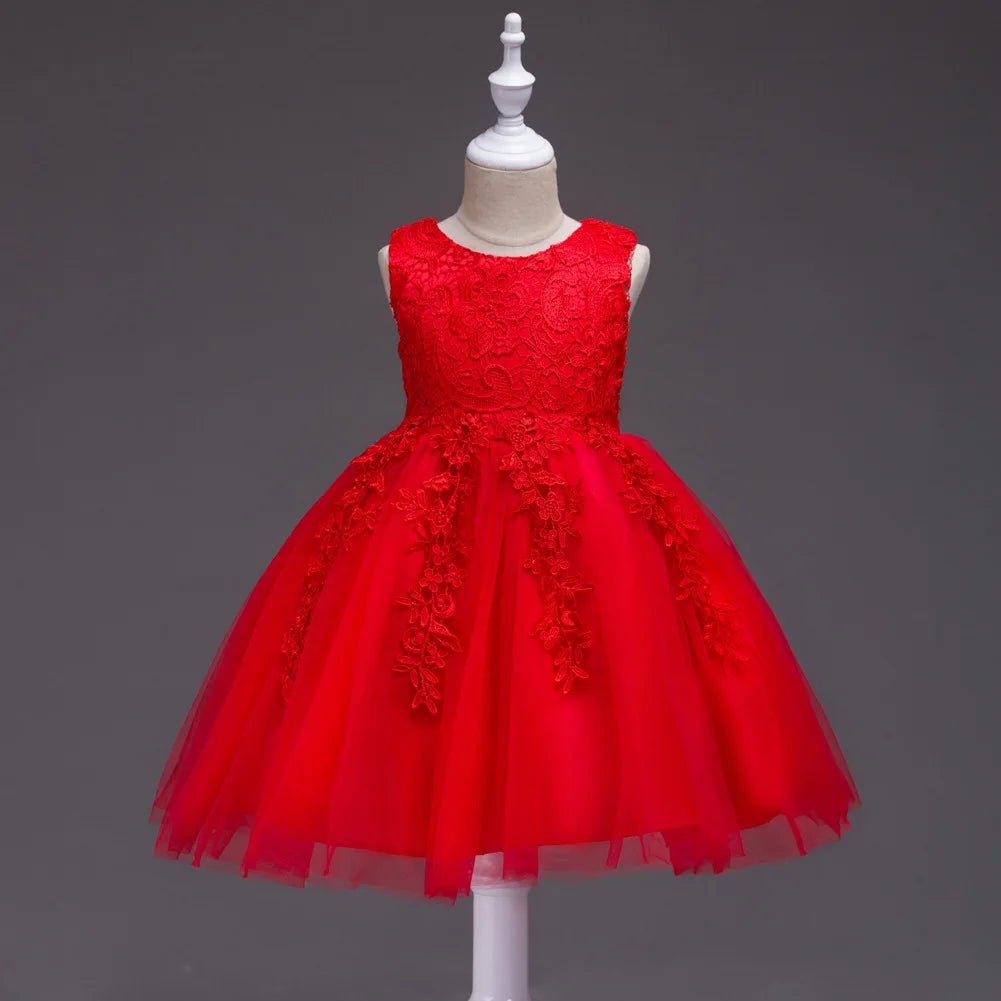 Girls Princess Lace Embroidery Puffy Dress | Flower Girl Ball Gown for Parties Ages 3 - 10Y - lily supply