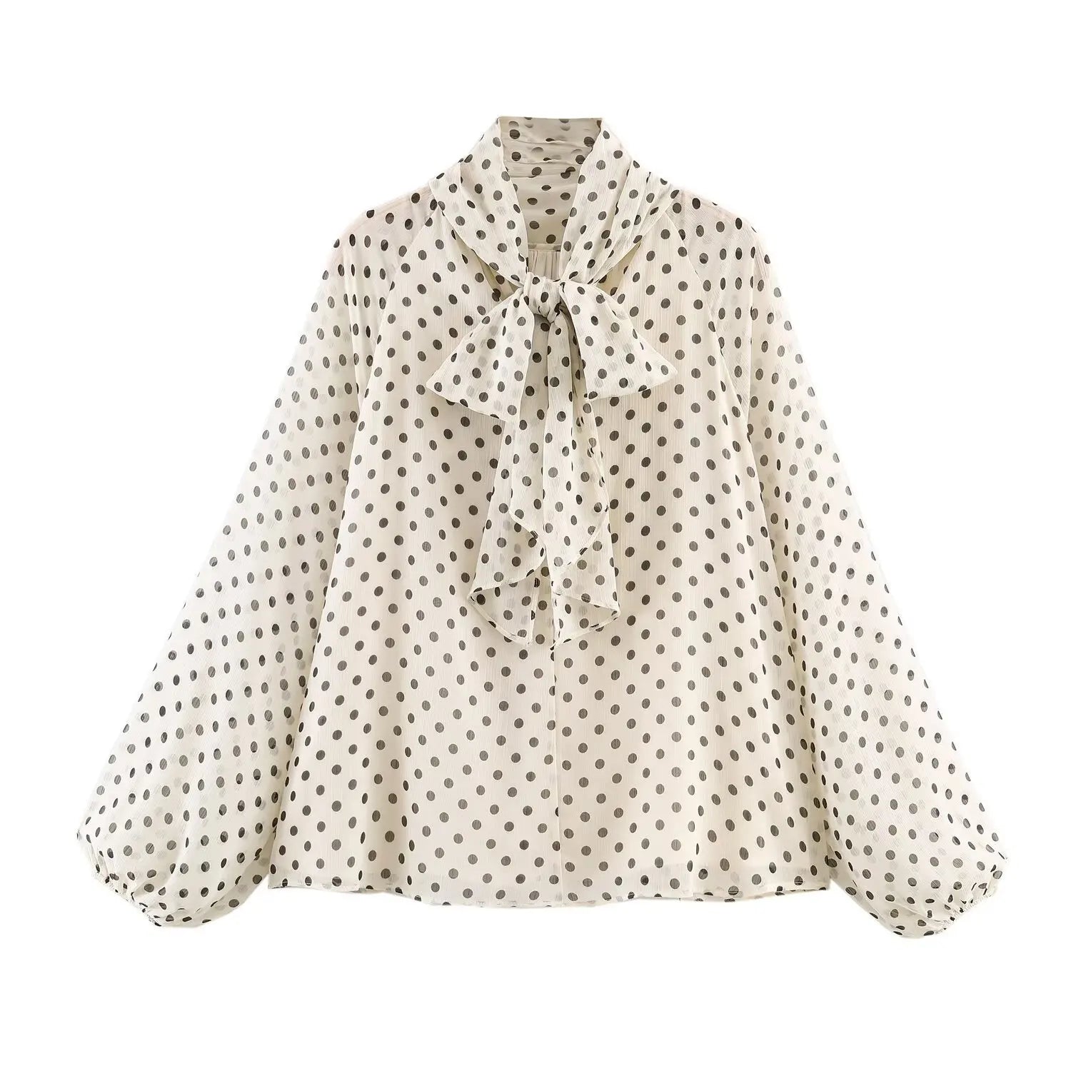 Women's Dot Print Chiffon Lantern Sleeve Blouse
